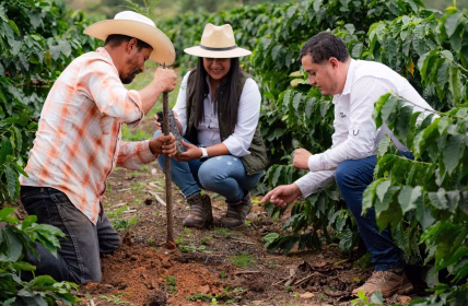 8.7 Millones de Árboles: El Programa de Reforestación de Nestlé