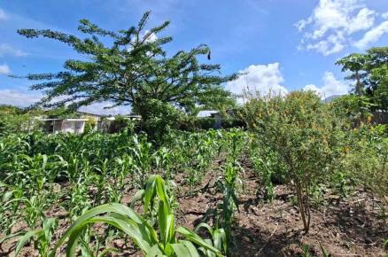 Precipitaciones Esperadas en Septiembre: Fin de la Canícula