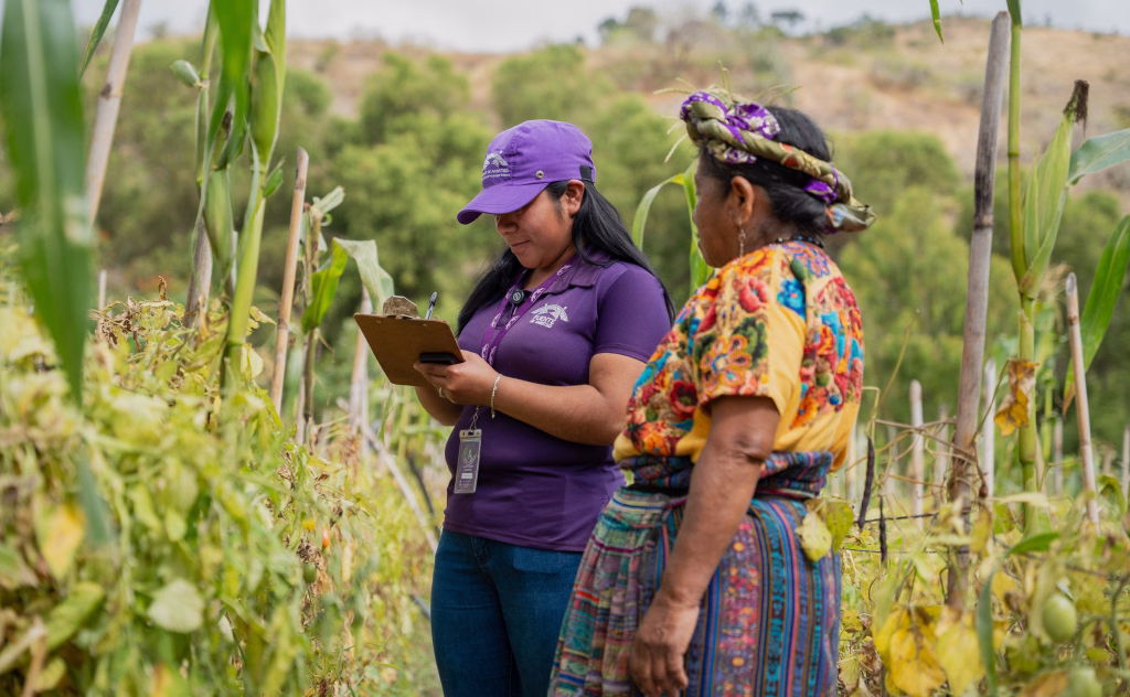 ONG impulsa a agricultoras a producir más y fortalecer sus ingresos en Guatemala